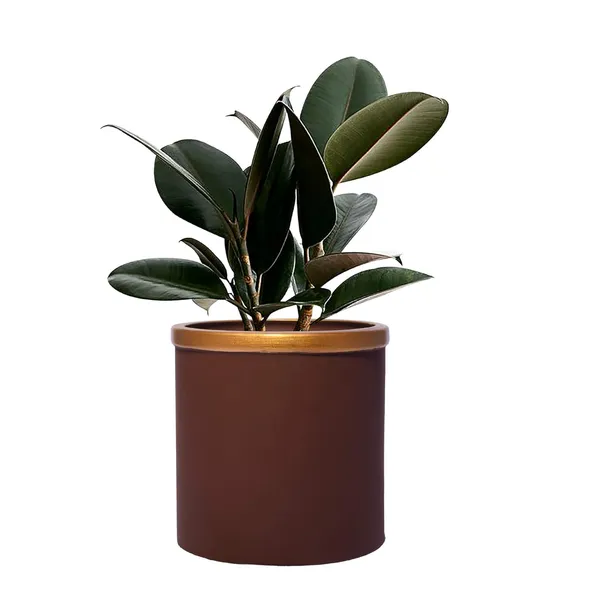 Gloria_Truffle_Golden_Ceramic_Pots_For_Indoor_Plants,_Planters,_Flower,_Pots,_Gamla,_Outdoor,_Balcony,_Home,_Garden,_Office_Decor,_Succulent_Pot(H_-_13_X_D_-_13_Cm)