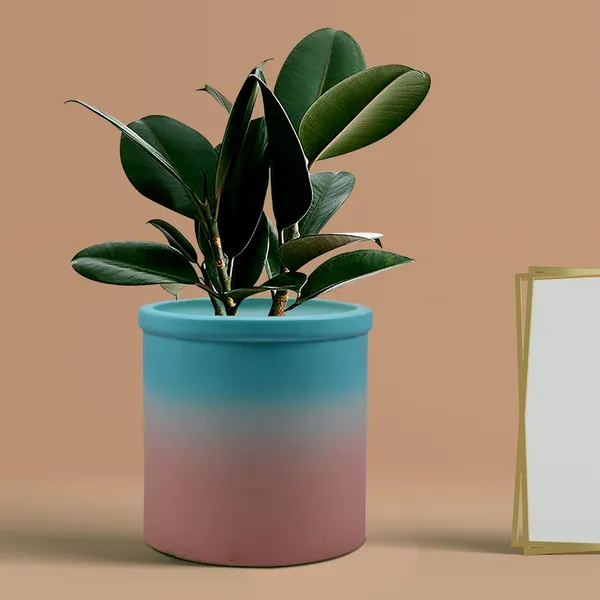 Gloria_3T_Pwa_Ceramic_Pots_For_Indoor_Plants,_Planters,_Flower,_Pots,_Gamla,_Outdoor,_Balcony,_Home,_Garden,_Office_Decor,_Succulent_Pot(H_-_13_X_D_-_13_Cm)