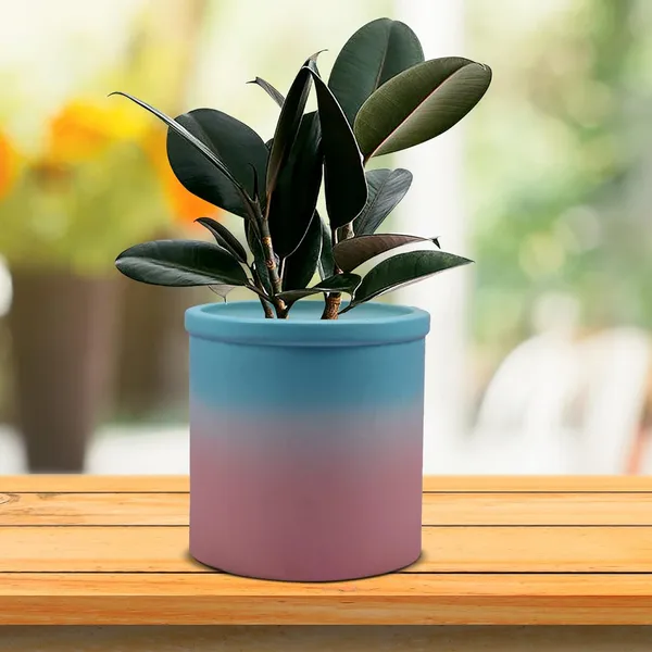 Gloria_3T_Pwa_Ceramic_Pots_For_Indoor_Plants,_Planters,_Flower,_Pots,_Gamla,_Outdoor,_Balcony,_Home,_Garden,_Office_Decor,_Succulent_Pot(H_-_13_X_D_-_13_Cm)