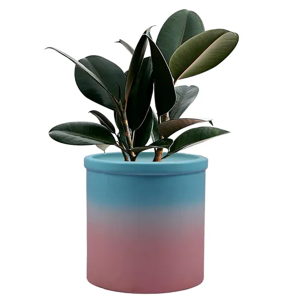 Gloria_3T_Pwa_Ceramic_Pots_For_Indoor_Plants,_Planters,_Flower,_Pots,_Gamla,_Outdoor,_Balcony,_Home,_Garden,_Office_Decor,_Succulent_Pot(H_-_13_X_D_-_13_Cm)
