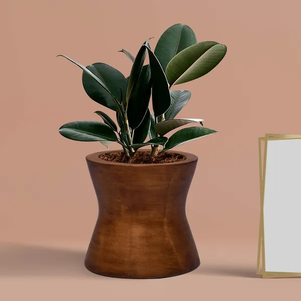 Damru_Antique_Ceramic_Pots_For_Indoor_Plants,_Planters,_Flower,_Pots,_Gamla,_Outdoor,_Balcony,_Home,_Garden,_Office_Decor,_Succulent_Pot(H_-_11_X_D_-_11_Cm)