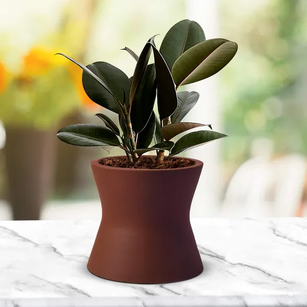 Damru_Truffle_Ceramic_Pots_For_Indoor_Plants,_Planters,_Flower,_Pots,_Gamla,_Outdoor,_Balcony,_Home,_Garden,_Office_Decor,_Succulent_Pot(H_-_11_X_D_-_11_Cm)