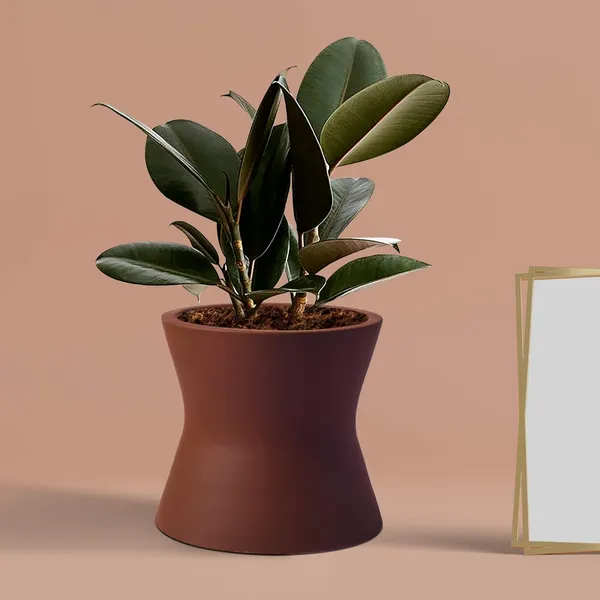 Damru_Truffle_Ceramic_Pots_For_Indoor_Plants,_Planters,_Flower,_Pots,_Gamla,_Outdoor,_Balcony,_Home,_Garden,_Office_Decor,_Succulent_Pot(H_-_11_X_D_-_11_Cm)