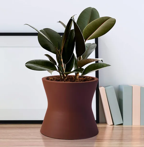 Damru_Truffle_Ceramic_Pots_For_Indoor_Plants,_Planters,_Flower,_Pots,_Gamla,_Outdoor,_Balcony,_Home,_Garden,_Office_Decor,_Succulent_Pot(H_-_11_X_D_-_11_Cm)