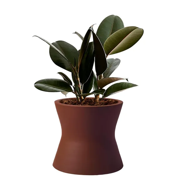 Damru_Truffle_Ceramic_Pots_For_Indoor_Plants,_Planters,_Flower,_Pots,_Gamla,_Outdoor,_Balcony,_Home,_Garden,_Office_Decor,_Succulent_Pot(H_-_11_X_D_-_11_Cm)