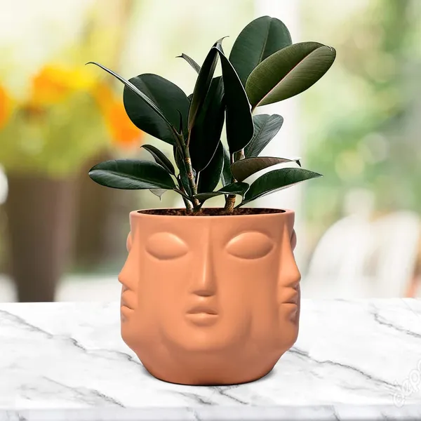 Vivan_Ginger_Ceramic_Pots_For_Indoor_Plants,_Planters,_Flower,_Pots,_Gamla,_Outdoor,_Balcony,_Home,_Garden,_Office_Decor,_Succulent_Pot(H_-_10_X_D_-_10_Cm)