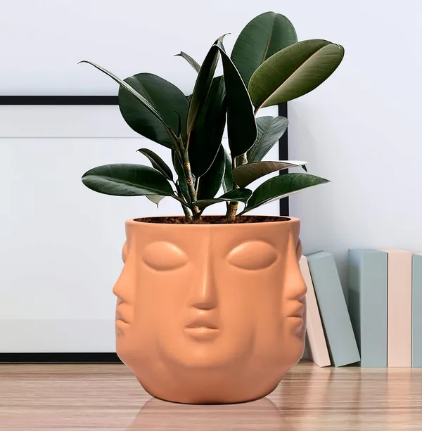 Vivan_Ginger_Ceramic_Pots_For_Indoor_Plants,_Planters,_Flower,_Pots,_Gamla,_Outdoor,_Balcony,_Home,_Garden,_Office_Decor,_Succulent_Pot(H_-_10_X_D_-_10_Cm)