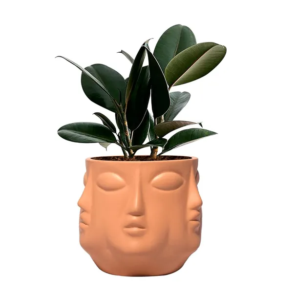 Vivan_Ginger_Ceramic_Pots_For_Indoor_Plants,_Planters,_Flower,_Pots,_Gamla,_Outdoor,_Balcony,_Home,_Garden,_Office_Decor,_Succulent_Pot(H_-_10_X_D_-_10_Cm)