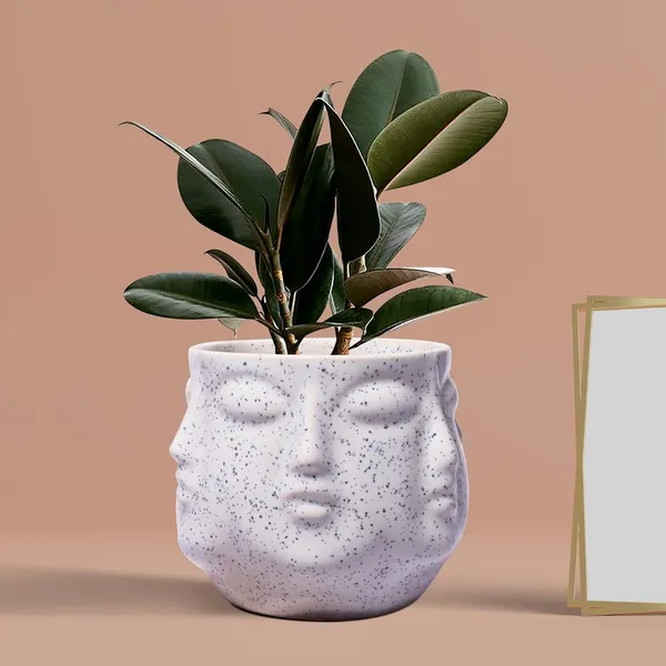 Vivan_White_Ceramic_Pots_For_Indoor_Plants,_Planters,_Flower,_Pots,_Gamla,_Outdoor,_Balcony,_Home,_Garden,_Office_Decor,_Succulent_Pot(H_-_10_X_D_-_10_Cm)