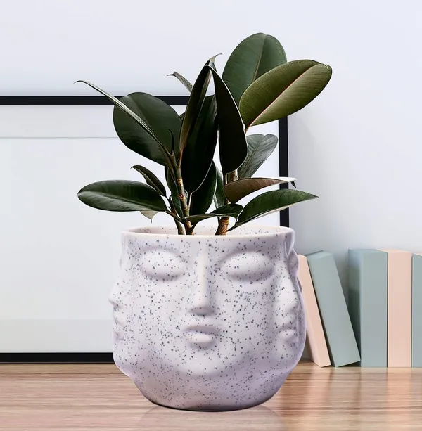 Vivan_White_Ceramic_Pots_For_Indoor_Plants,_Planters,_Flower,_Pots,_Gamla,_Outdoor,_Balcony,_Home,_Garden,_Office_Decor,_Succulent_Pot(H_-_10_X_D_-_10_Cm)