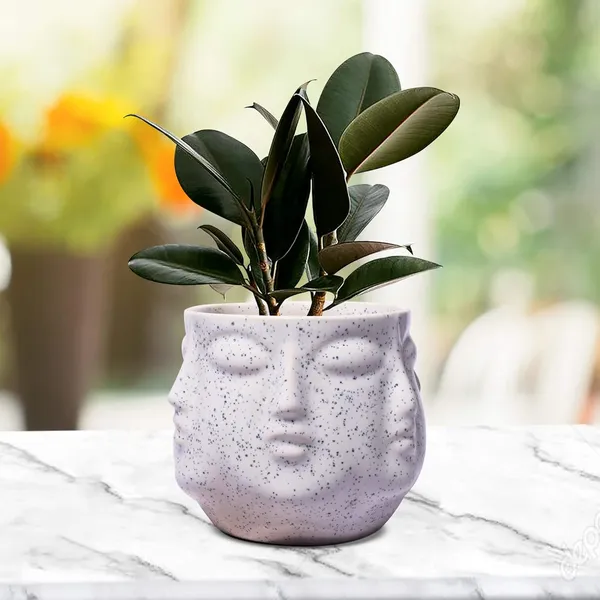 Vivan_White_Ceramic_Pots_For_Indoor_Plants,_Planters,_Flower,_Pots,_Gamla,_Outdoor,_Balcony,_Home,_Garden,_Office_Decor,_Succulent_Pot(H_-_10_X_D_-_10_Cm)