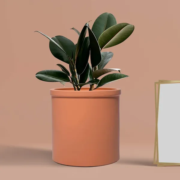 Gloria_Ginger_Ceramic_Pots_For_Indoor_Plants,_Planters,_Flower,_Pots,_Gamla,_Outdoor,_Balcony,_Home,_Garden,_Office_Decor,_Succulent_Pot(H_-_13_X_D_-_13_Cm)