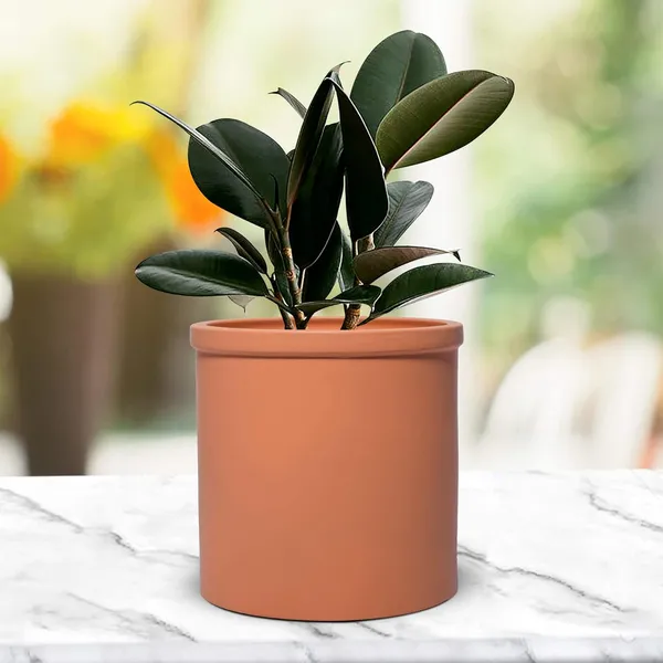 Gloria_Ginger_Ceramic_Pots_For_Indoor_Plants,_Planters,_Flower,_Pots,_Gamla,_Outdoor,_Balcony,_Home,_Garden,_Office_Decor,_Succulent_Pot(H_-_13_X_D_-_13_Cm)