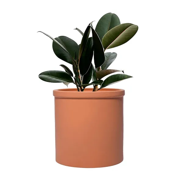 Gloria_Ginger_Ceramic_Pots_For_Indoor_Plants,_Planters,_Flower,_Pots,_Gamla,_Outdoor,_Balcony,_Home,_Garden,_Office_Decor,_Succulent_Pot(H_-_13_X_D_-_13_Cm)