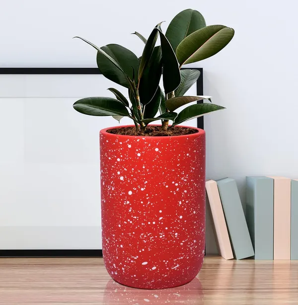 Jack_Red_White_Dot_Ceramic_Pots_For_Indoor_Plants,_Planters,_Flower,_Pots,_Gamla,_Outdoor,_Balcony,_Home,_Garden,_Office_Decor,_Succulent_Pot(H_-_15_X_D_-_10_Cm)