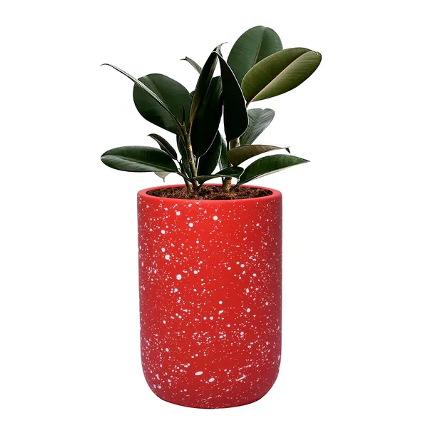 Jack_Red_White_Dot_Ceramic_Pots_For_Indoor_Plants,_Planters,_Flower,_Pots,_Gamla,_Outdoor,_Balcony,_Home,_Garden,_Office_Decor,_Succulent_Pot(H_-_15_X_D_-_10_Cm)