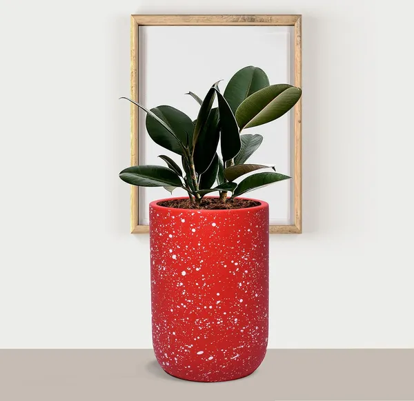 Jack_Red_White_Dot_Ceramic_Pots_For_Indoor_Plants,_Planters,_Flower,_Pots,_Gamla,_Outdoor,_Balcony,_Home,_Garden,_Office_Decor,_Succulent_Pot(H_-_15_X_D_-_10_Cm)
