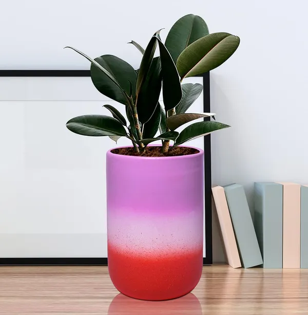 Jack_3T_Pwr_Ceramic_Pots_For_Indoor_Plants,_Planters,_Flower,_Pots,_Gamla,_Outdoor,_Balcony,_Home,_Garden,_Office_Decor,_Succulent_Pot(H_-_15_X_D_-_10_Cm)