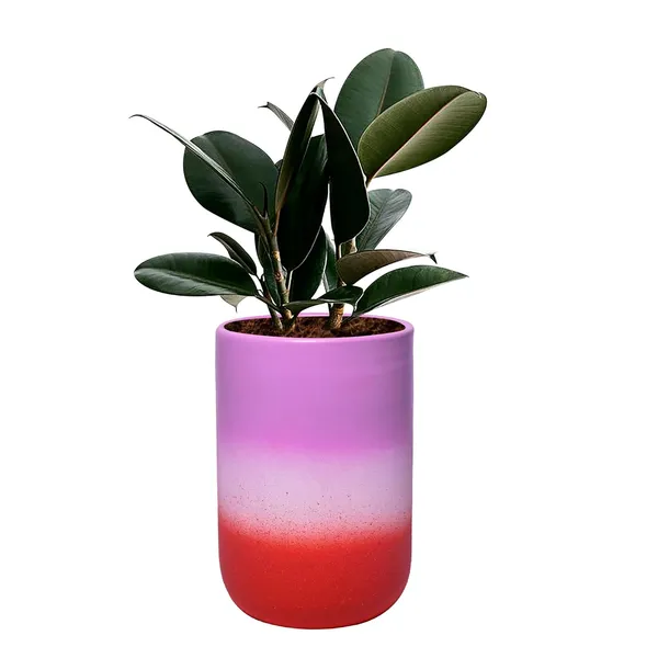 Jack_3T_Pwr_Ceramic_Pots_For_Indoor_Plants,_Planters,_Flower,_Pots,_Gamla,_Outdoor,_Balcony,_Home,_Garden,_Office_Decor,_Succulent_Pot(H_-_15_X_D_-_10_Cm)