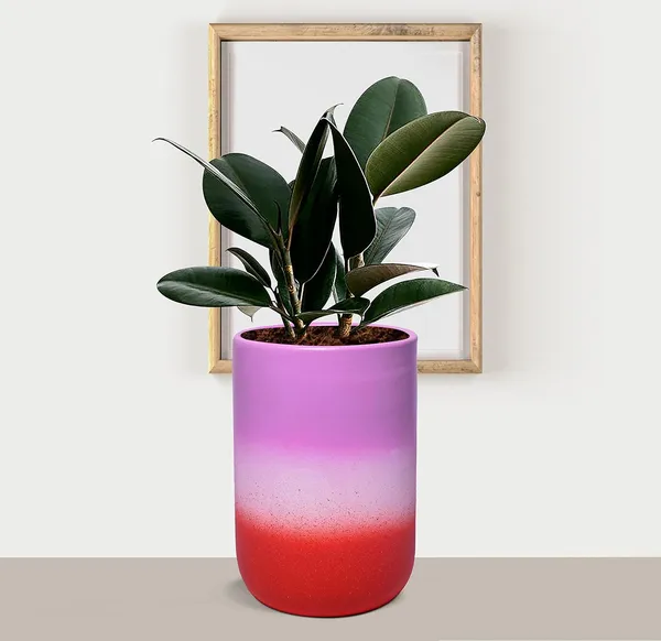 Jack_3T_Pwr_Ceramic_Pots_For_Indoor_Plants,_Planters,_Flower,_Pots,_Gamla,_Outdoor,_Balcony,_Home,_Garden,_Office_Decor,_Succulent_Pot(H_-_15_X_D_-_10_Cm)