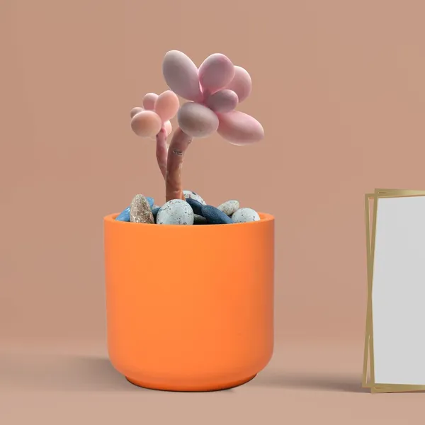 Zeno_Lily_Ceramic_Pots_For_Indoor_Plants,_Planters,_Flower,_Pots,_Gamla,_Outdoor,_Balcony,_Home,_Garden,_Office_Decor,_Succulent_Pot(H_-_9_X_D_-_9_Cm)