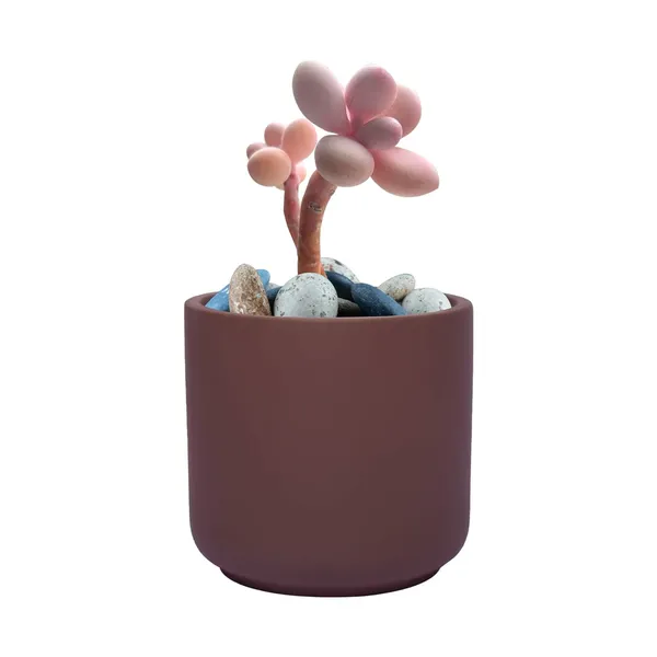 Zeno_Truffle_Ceramic_Pots_For_Indoor_Plants,_Planters,_Flower,_Pots,_Gamla,_Outdoor,_Balcony,_Home,_Garden,_Office_Decor,_Succulent_Pot(H_-_9_X_D_-_9_Cm)