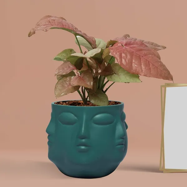 Vivan_Deep_Jungle_Ceramic_Pots_For_Indoor_Plants,_Planters,_Flower,_Pots,_Gamla,_Outdoor,_Balcony,_Home,_Garden,_Office_Decor,_Succulent_Pot(H_-_10_X_D_-_10_Cm)