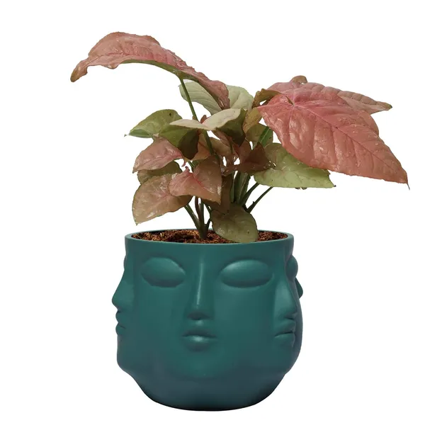 Vivan_Deep_Jungle_Ceramic_Pots_For_Indoor_Plants,_Planters,_Flower,_Pots,_Gamla,_Outdoor,_Balcony,_Home,_Garden,_Office_Decor,_Succulent_Pot(H_-_10_X_D_-_10_Cm)