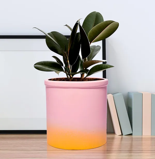 Gloria_2T_Ps_Ceramic_Pots_For_Indoor_Plants,_Planters,_Flower,_Pots,_Gamla,_Outdoor,_Balcony,_Home,_Garden,_Office_Decor,_Succulent_Pot(H_-_13_X_D_-_13_Cm)