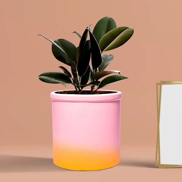 Gloria_2T_Ps_Ceramic_Pots_For_Indoor_Plants,_Planters,_Flower,_Pots,_Gamla,_Outdoor,_Balcony,_Home,_Garden,_Office_Decor,_Succulent_Pot(H_-_13_X_D_-_13_Cm)