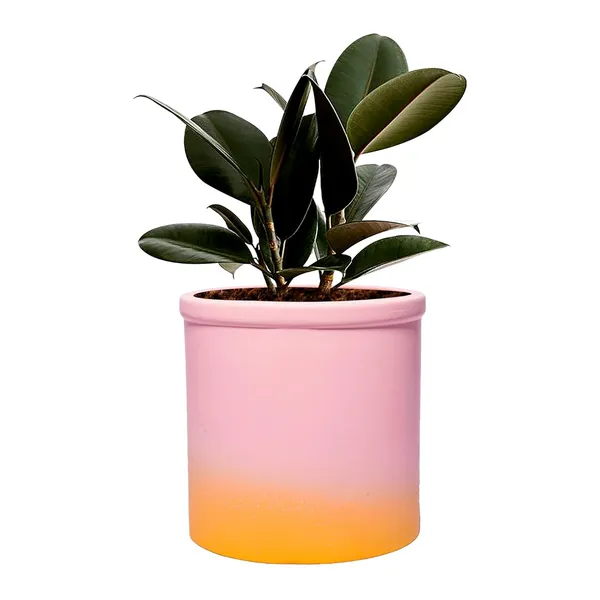 Gloria_2T_Ps_Ceramic_Pots_For_Indoor_Plants,_Planters,_Flower,_Pots,_Gamla,_Outdoor,_Balcony,_Home,_Garden,_Office_Decor,_Succulent_Pot(H_-_13_X_D_-_13_Cm)