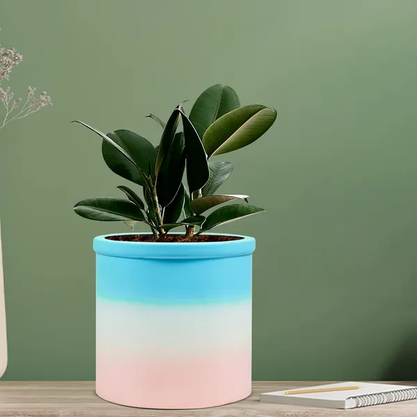 Gloria_3T_Pwr_Ceramic_Pots_For_Indoor_Plants,_Planters,_Flower,_Pots,_Gamla,_Outdoor,_Balcony,_Home,_Garden,_Office_Decor,_Succulent_Pot(H_-_13_X_D_-_13_Cm)