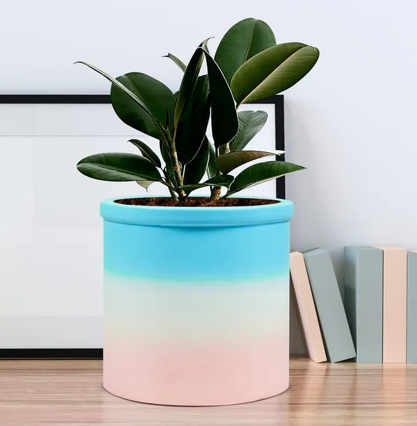 Gloria_3T_Pwr_Ceramic_Pots_For_Indoor_Plants,_Planters,_Flower,_Pots,_Gamla,_Outdoor,_Balcony,_Home,_Garden,_Office_Decor,_Succulent_Pot(H_-_13_X_D_-_13_Cm)