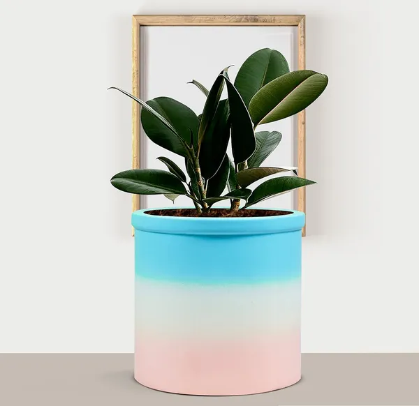 Gloria_3T_Pwr_Ceramic_Pots_For_Indoor_Plants,_Planters,_Flower,_Pots,_Gamla,_Outdoor,_Balcony,_Home,_Garden,_Office_Decor,_Succulent_Pot(H_-_13_X_D_-_13_Cm)