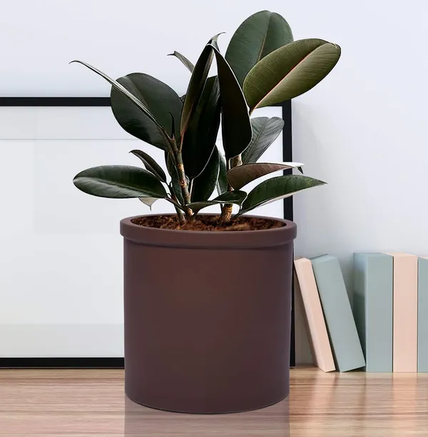 Gloria_Truffle_Ceramic_Pots_For_Indoor_Plants,_Planters,_Flower,_Pots,_Gamla,_Outdoor,_Balcony,_Home,_Garden,_Office_Decor,_Succulent_Pot(H_-_13_X_D_-_13_Cm)