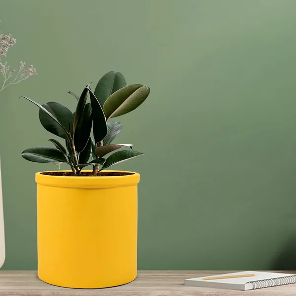 Gloria_Saffron_Ceramic_Pots_For_Indoor_Plants,_Planters,_Flower,_Pots,_Gamla,_Outdoor,_Balcony,_Home,_Garden,_Office_Decor,_Succulent_Pot(H_-_13_X_D_-_13_Cm)