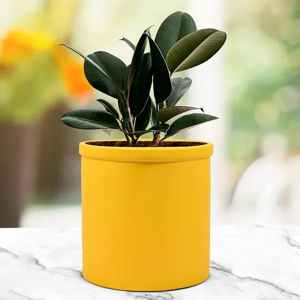 Gloria_Saffron_Ceramic_Pots_For_Indoor_Plants,_Planters,_Flower,_Pots,_Gamla,_Outdoor,_Balcony,_Home,_Garden,_Office_Decor,_Succulent_Pot(H_-_13_X_D_-_13_Cm)