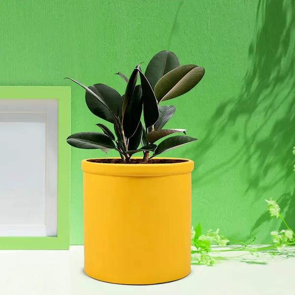 Gloria_Saffron_Ceramic_Pots_For_Indoor_Plants,_Planters,_Flower,_Pots,_Gamla,_Outdoor,_Balcony,_Home,_Garden,_Office_Decor,_Succulent_Pot(H_-_13_X_D_-_13_Cm)