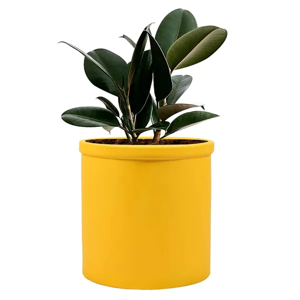 Gloria_Saffron_Ceramic_Pots_For_Indoor_Plants,_Planters,_Flower,_Pots,_Gamla,_Outdoor,_Balcony,_Home,_Garden,_Office_Decor,_Succulent_Pot(H_-_13_X_D_-_13_Cm)