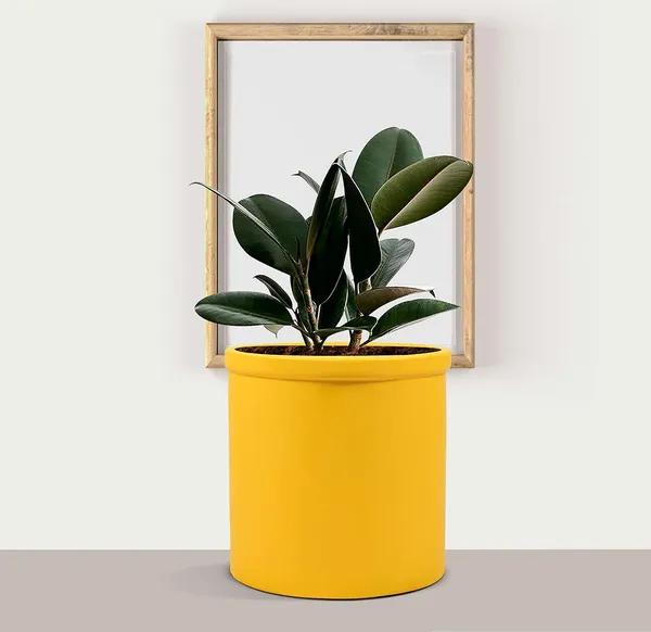 Gloria_Saffron_Ceramic_Pots_For_Indoor_Plants,_Planters,_Flower,_Pots,_Gamla,_Outdoor,_Balcony,_Home,_Garden,_Office_Decor,_Succulent_Pot(H_-_13_X_D_-_13_Cm)