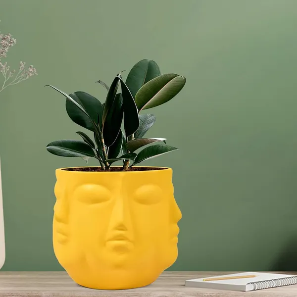 Vivan_Saffron_Ceramic_Pots_For_Indoor_Plants,_Planters,_Flower,_Pots,_Gamla,_Outdoor,_Balcony,_Home,_Garden,_Office_Decor,_Succulent_Pot(H_-_10_X_D_-_10_Cm)