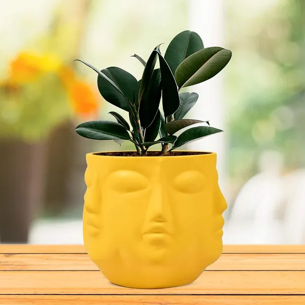 Vivan_Saffron_Ceramic_Pots_For_Indoor_Plants,_Planters,_Flower,_Pots,_Gamla,_Outdoor,_Balcony,_Home,_Garden,_Office_Decor,_Succulent_Pot(H_-_10_X_D_-_10_Cm)
