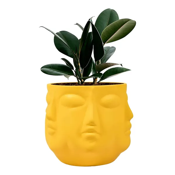 Vivan_Saffron_Ceramic_Pots_For_Indoor_Plants,_Planters,_Flower,_Pots,_Gamla,_Outdoor,_Balcony,_Home,_Garden,_Office_Decor,_Succulent_Pot(H_-_10_X_D_-_10_Cm)