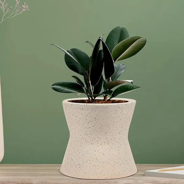 Damru_White_Ceramic_Pots_For_Indoor_Plants,_Planters,_Flower,_Pots,_Gamla,_Outdoor,_Balcony,_Home,_Garden,_Office_Decor,_Succulent_Pot(H_-_11_X_D_-_11_Cm)