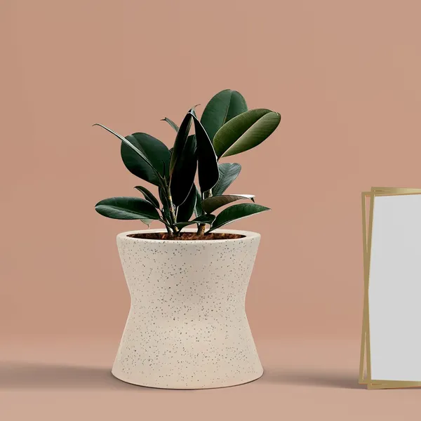 Damru_White_Ceramic_Pots_For_Indoor_Plants,_Planters,_Flower,_Pots,_Gamla,_Outdoor,_Balcony,_Home,_Garden,_Office_Decor,_Succulent_Pot(H_-_11_X_D_-_11_Cm)