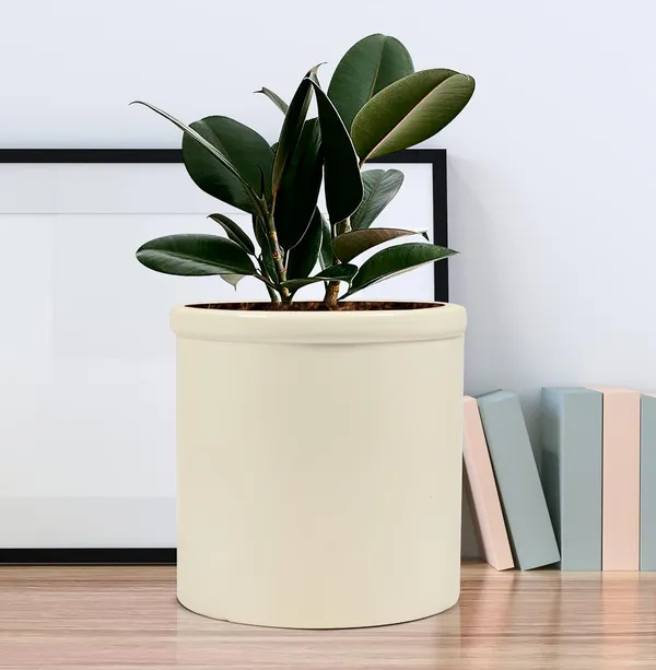 Gloria_White_Ceramic_Pots_For_Indoor_Plants,_Planters,_Flower,_Pots,_Gamla,_Outdoor,_Balcony,_Home,_Garden,_Office_Decor,_Succulent_Pot(H_-_13_X_D_-_13_Cm)