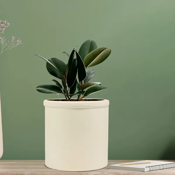 Gloria_White_Ceramic_Pots_For_Indoor_Plants,_Planters,_Flower,_Pots,_Gamla,_Outdoor,_Balcony,_Home,_Garden,_Office_Decor,_Succulent_Pot(H_-_13_X_D_-_13_Cm)
