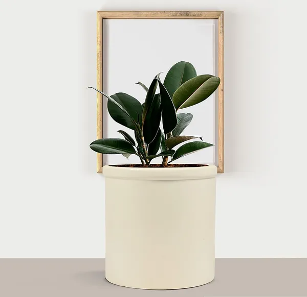 Gloria_White_Ceramic_Pots_For_Indoor_Plants,_Planters,_Flower,_Pots,_Gamla,_Outdoor,_Balcony,_Home,_Garden,_Office_Decor,_Succulent_Pot(H_-_13_X_D_-_13_Cm)