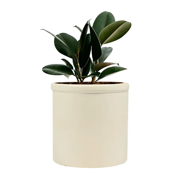 Gloria_White_Ceramic_Pots_For_Indoor_Plants,_Planters,_Flower,_Pots,_Gamla,_Outdoor,_Balcony,_Home,_Garden,_Office_Decor,_Succulent_Pot(H_-_13_X_D_-_13_Cm)