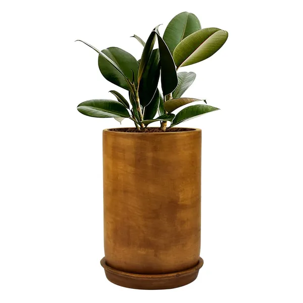 Jack_Ceramic_Pot_With_Saucer_Plate_Tray_For_Indoor_Plants_Living_Room_Home_Décor_(Color:_Antique,_Plate:_Round_3.5_Inch)